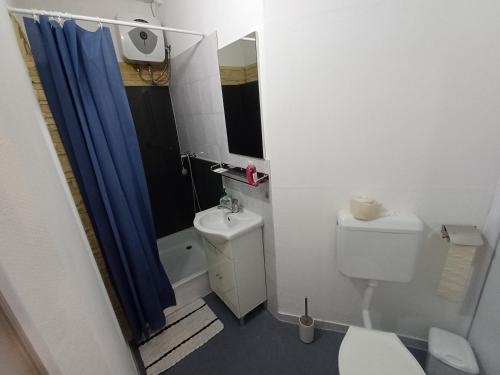 a bathroom with a toilet and a blue shower curtain at Villa Vamus Vendég- és RendezvényHáz in Vámosszabadi