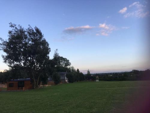 a large green field with a tree and a house at Shepherds Haven in Draycott in the Moors
