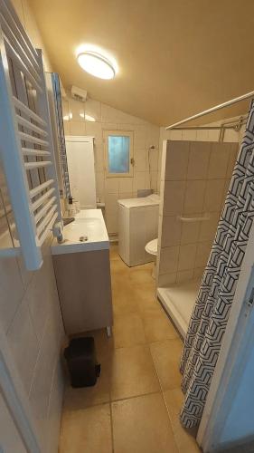 une salle de bain avec un lavabo, des toilettes et une douche dans l'établissement Petite maison atypique à 20min du Futuroscope, avec terrasse, à Saint-Benoît