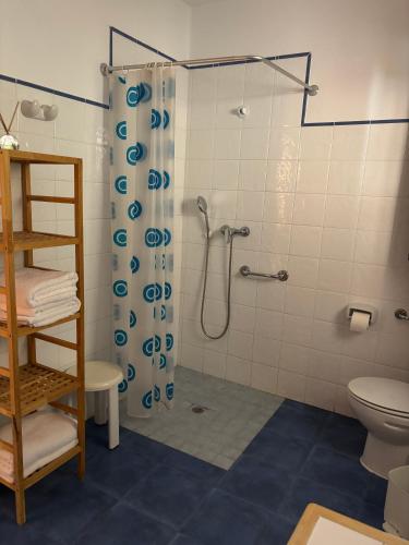 a bathroom with a shower and a toilet at El Domingo en el Valle in Fondón