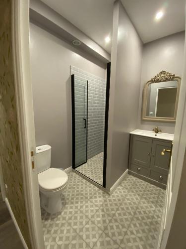 une salle de bain avec toilettes, lavabo et miroir dans l'établissement Pavilion in park of Château de La Motte-Feuilly, à La Motte-Feuilly