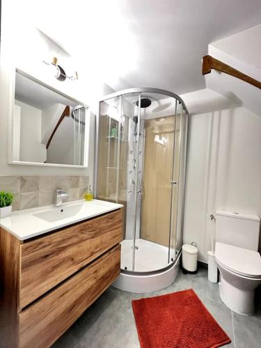 une salle de bain avec une douche, un lavabo et des toilettes dans l'établissement Puy duFou 15 min T3 L'étape du Panache, à Sevremont