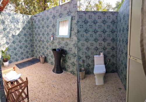 a bathroom with a toilet and a blue wall at Hippie Paws in Mandrem