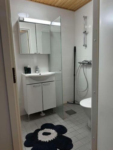 a bathroom with a sink and a toilet and a mirror at 2 hengen unikkosuite in Rovaniemi