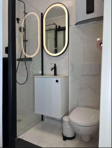 une salle de bain avec toilettes, lavabo et miroir dans l'établissement la cale à la mer, à Dieppe