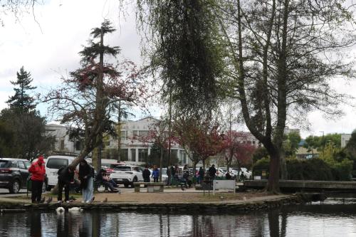 a group of people standing around a pond at Hostel INK - Duerme Como En Casa in Concepción