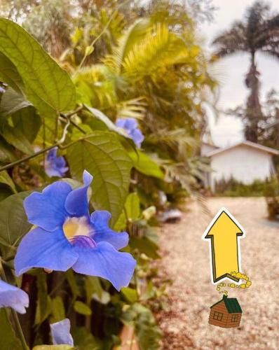 a blue flower next to a house with a blue flower at Bienvenidos a la Pequeña Selva de Legnalife in Homestead