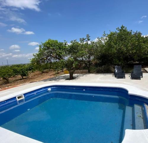 Casa Rural Huerto del Carmen في Puebla Larga: مسبح ازرق وبه كرسيين واشجار