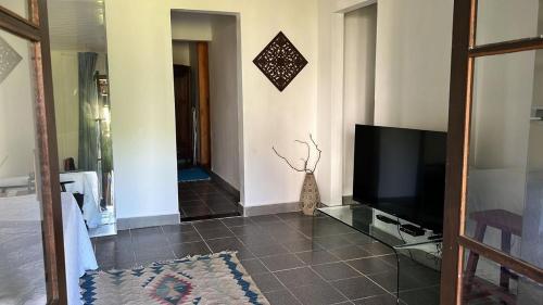a living room with a television and a vase on the floor at Casa da Ilha do Mel - Pousada de Charme in Ilha do Mel