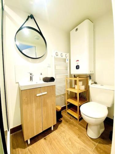 une salle de bain avec toilettes, lavabo et miroir dans l'établissement Chaleureux Appartement proche gare, à Laval