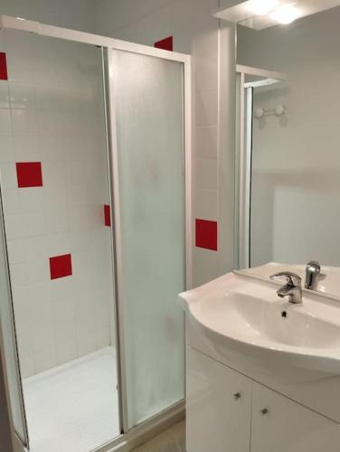 une salle de bain avec un lavabo blanc et une douche dans l'établissement Appartement centre Descartes, à Descartes