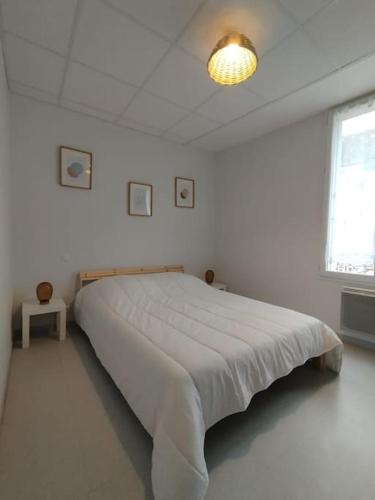 une chambre avec un grand lit dans une pièce blanche dans l'établissement Appartement centre Descartes, à Descartes