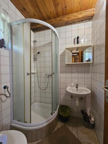 a bathroom with a shower and a sink at Apartments Kuvarna in Čigoč