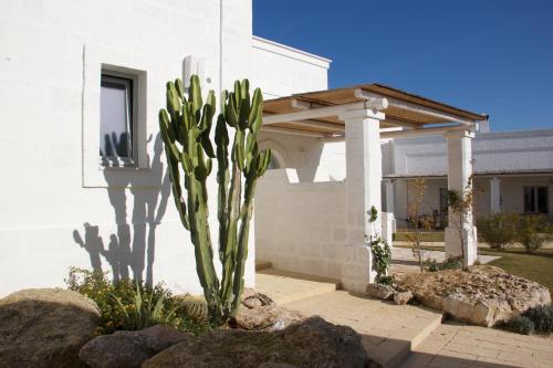 a cactus in front of a white house at Masseria San Francesco in Savelletri di Fasano