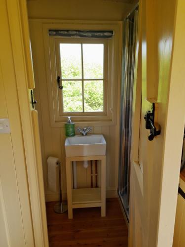 a bathroom with a sink and a window at Hill Top Hideaway Shepherds Hut with Hot Tub in Woodham Mortimer