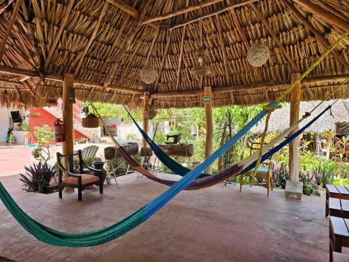 Jardí fora de Casa Xu´unan