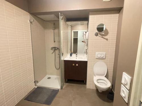 a bathroom with a toilet and a sink and a shower at Studio Harmonie Confluence Lyon City et piscine chauffante in Lyon