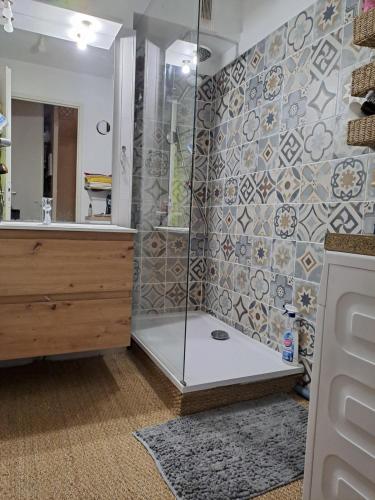 une salle de bain avec une douche, un lavabo et un miroir dans l'établissement Appartement cosy proche centre Arles, à Arles