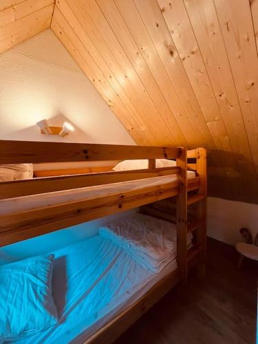 - 2 lits superposés dans une chambre avec plafond dans l'établissement Maison montagne Lélou - 4 à 6 personnes - Saint Jacques des blats, à Saint-Jacques-des-Blats