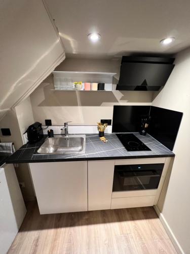une petite cuisine avec un évier et une cuisinière dans l'établissement Cocon des Moulins, à Toulouse