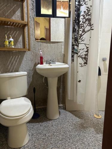 a bathroom with a toilet and a sink at Cabañas y hospedaje Sol y Luna Motul in Motul de Felipe Carrillo Puerto