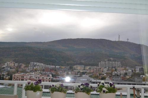 Una vista de una ciudad desde un balcón con plantas en macetas. en M apartment, en Skopje