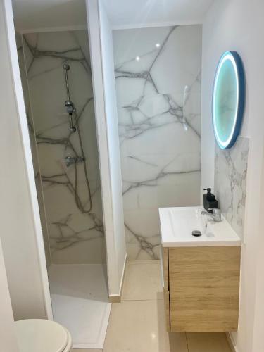 une salle de bain avec une douche, un lavabo et un miroir dans l'établissement Gzenaya, à Avignon