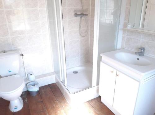 une salle de bain avec une douche, des toilettes et un lavabo dans l'établissement La Rose des Sables, Maison familiale 7 chambres, grand jardin, proche plage, à Houlgate