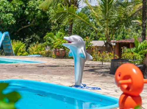 a dolphin toy in a pool in a playground at Chácara Arco Íris in Conde