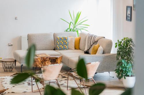 a living room with a couch and some plants at Montana 219 in Valea Drăganului
