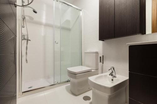 a bathroom with a shower and a toilet and a sink at Hostal Arriola in Granada