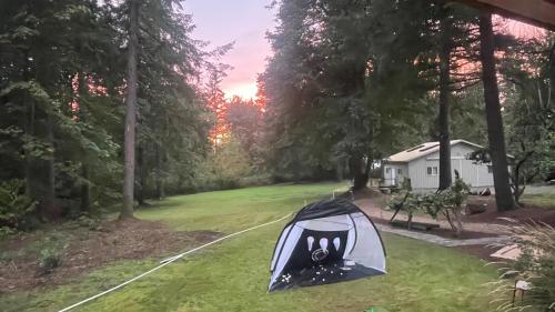 a tent sitting on the grass in a yard at Whispering Pines Farmhouse in Redmond