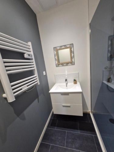 a bathroom with a white sink and a mirror at Studio Canada 3 in Valenciennes