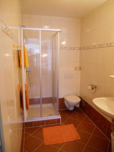 a bathroom with a shower and a toilet and a sink at Ferienhaus Oberberg in Flachau