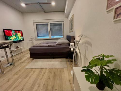 a bedroom with a bed and a tv in it at Neu wunderschönenes weißes Apartament am Schlössle Zentrum Goldstadt in Pforzheim