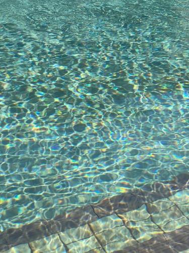 a pool of clear blue water with rocks in it at Hampton Spacious House & Pool in Melbourne