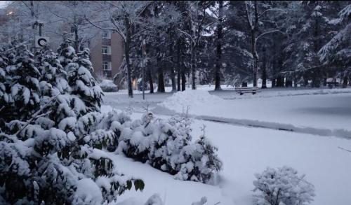 Kleine Residenz om vinteren