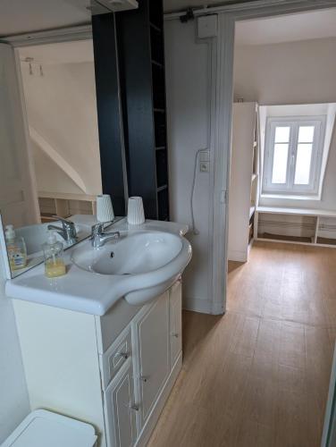 Seine-Front Apt in Stone House with parking and garden, Lacroix Island