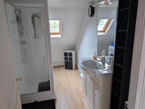 une salle de bain avec un lavabo, une douche et un miroir dans l'établissement Seine-Front Apt in Stone House with parking and garden, Lacroix Island, à Rouen