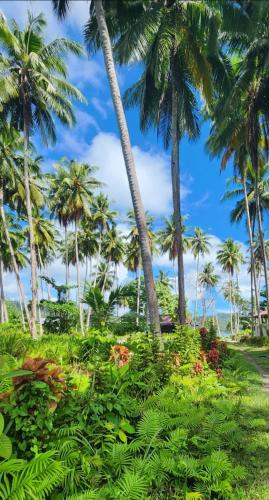 a garden with palm trees and flowers on a beach at Nyandetor Homestay in Yennanas Besir