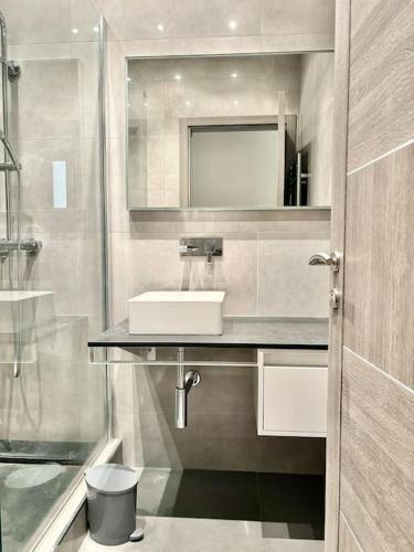 une salle de bain avec un lavabo et un miroir dans l'établissement Cannes Appartement 1 chambre - 26H, à Cannes