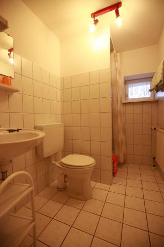 a bathroom with a toilet and a sink at Haus Brandt - Ferienwohnung in Wildemann