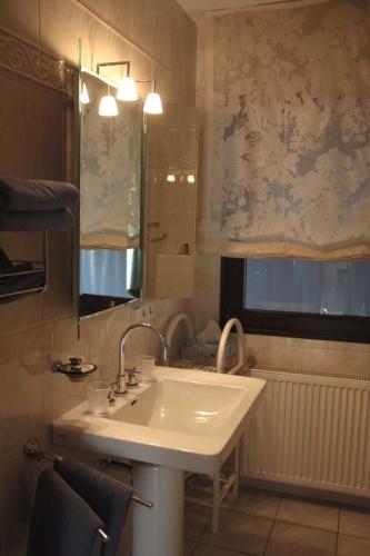a bathroom with a white sink and a window at Ferienhaus Arnold in Goslar
