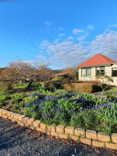 Κήπος έξω από το Hamlet Downs Country Accommodation