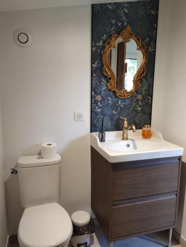 une salle de bain avec toilettes, lavabo et miroir dans l'établissement Détente sous le figuier, à La Garde