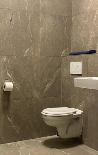 a bathroom with a toilet and a sink at Logement Sylroede in Lemmer