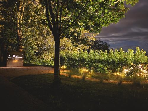 a tree in a park at night with lights at La Suite lodge Domaine La Paloma in Jurançon