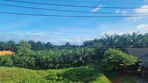 Una vista de una plantación de plátanos desde una casa. en Lanta Ahad Apartments, en Ko Lanta