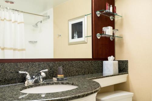 a bathroom with a sink and a mirror at Wyndham Cleveland Airport in Cleveland