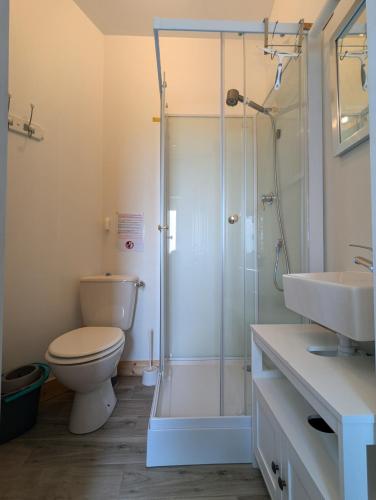 une salle de bain avec toilettes, douche et lavabo dans l'établissement Petit gîte de charme Bichta Eder, à Magnac-Lavalette